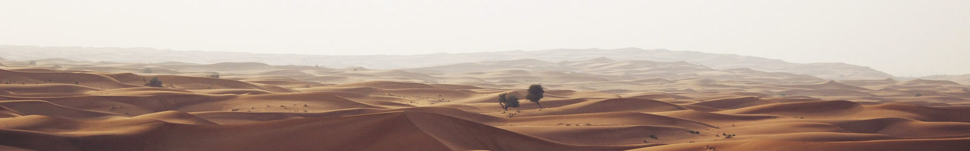 ˳عе޹˾